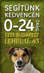 Allatkorhaz banner